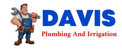 Trusted plumber in HERON